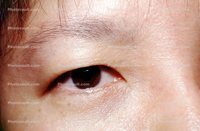 Eyeball, Iris, Lens, Pupil, Cornea, Sclera, Man, Male, skin, Eye Brow, Eyebrow