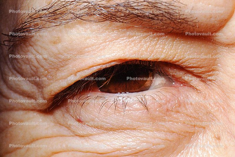 Eyeball, Iris, Lens, Pupil, Cornea, Sclera, Woma, Female, Eye Brow, Eyebrow, Eyelash, skin