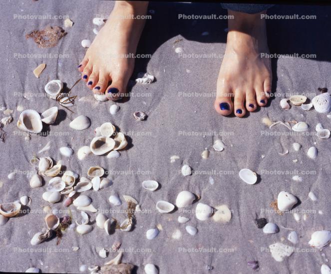 feet, sand, Shells, sandy, woman