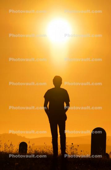 Man in The Sunset, Bloomfield