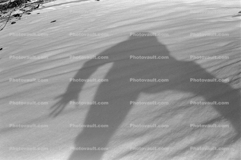 Boy, male, guy, masculine shadow, snow