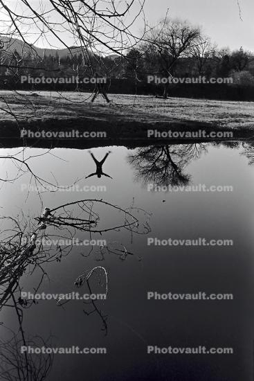 water, pond, lake, reflection, Humboldt County