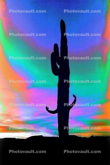 Saguaro Cactus, Arizona, psyscape