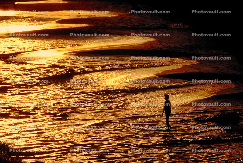 Woman in Sunset Colors in the Caribbean, Cancun, Mexico