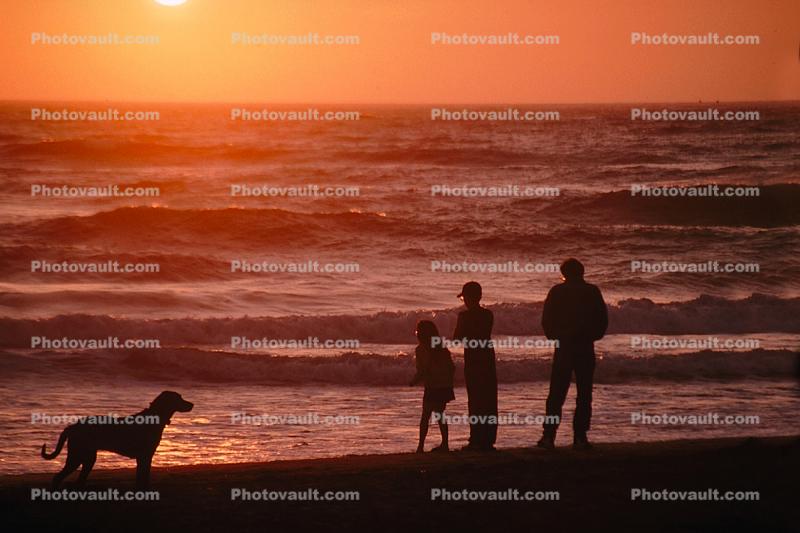 waves, beach, dog, people silhouette, People walking, sand, Pacific Ocean, sunset