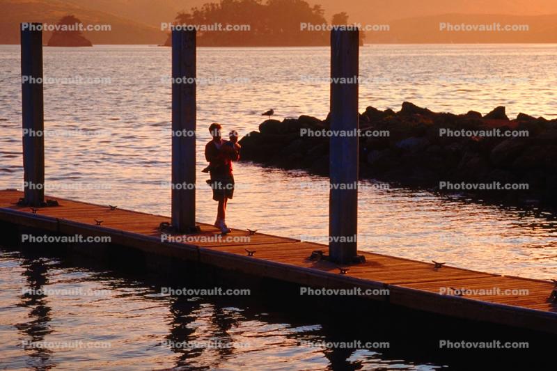 Dock, Nicks Cove, Pier, jetty, Tomales Bay, Marin County, California