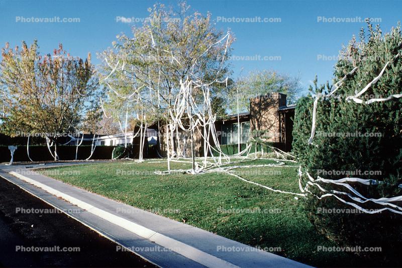 Toilet Paper on Trees and House