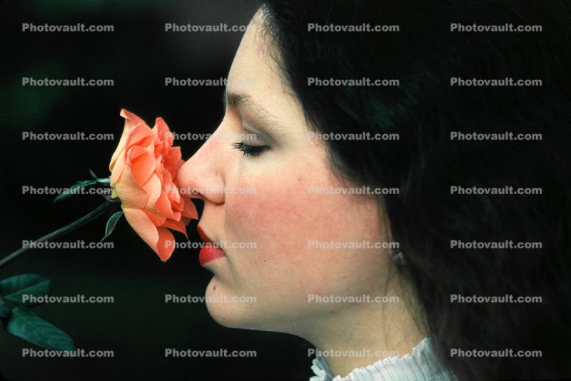 Smelling a Rose