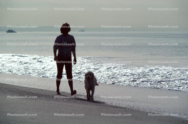 Man and his Dog on the Beach. samd. Pceam. water