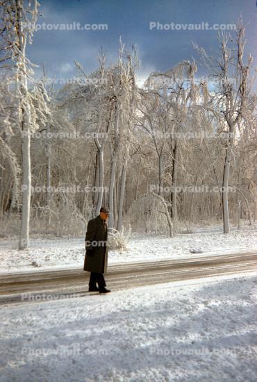 Old Man Walking in the Snowy Woods. Road, Roadway