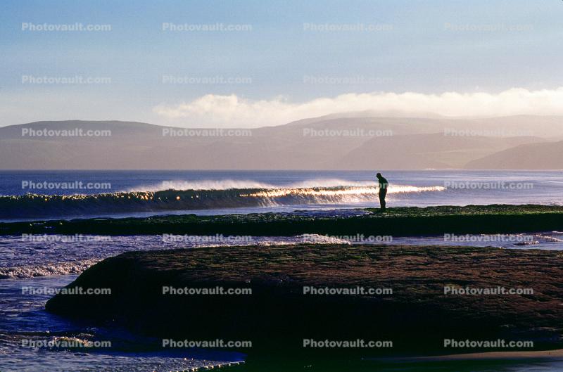 Man Strolls Near the Waves at Point Reyes