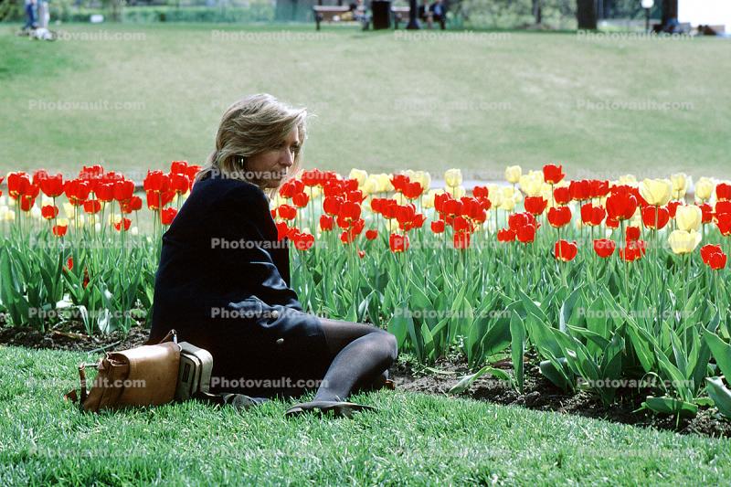 tulips, Woman Being in Thought