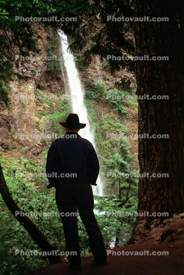 Introspective Man, waterfall