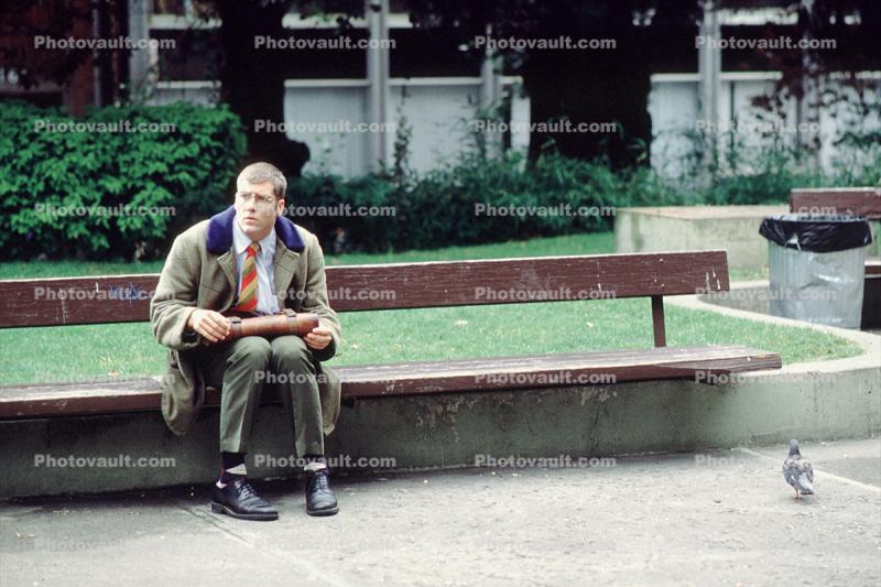 Man Sitting on a Bench, Pigeon