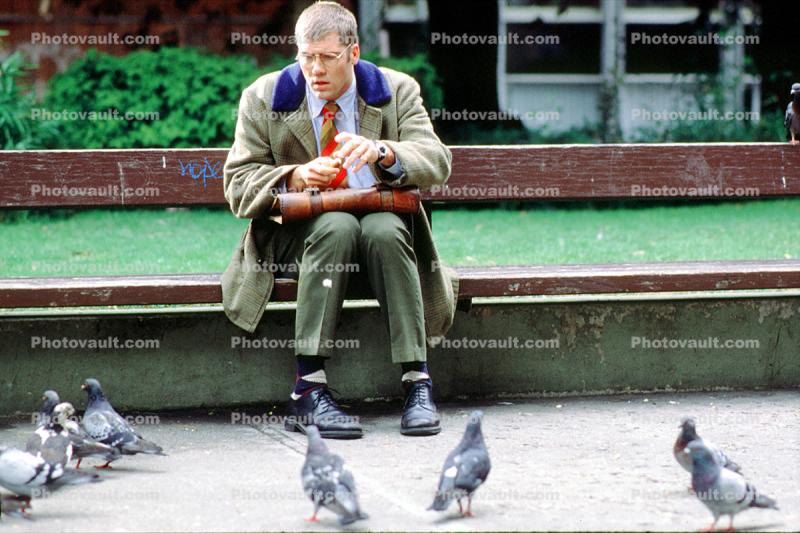 Man Sitting on a Bench, Pigeon