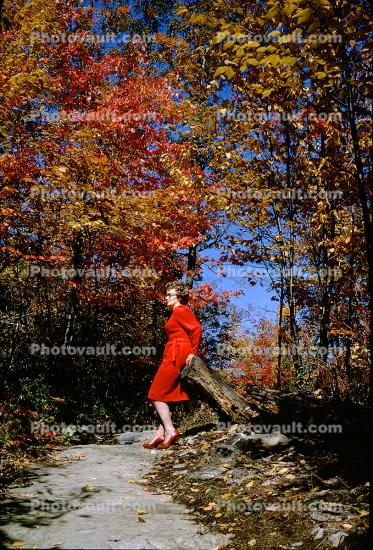 Woman on a Path of Contemplation, New Hampshire, 1950s, autumn