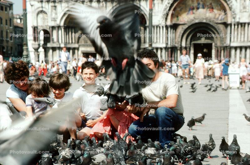 pigeons, Saint Marks Square, Venice