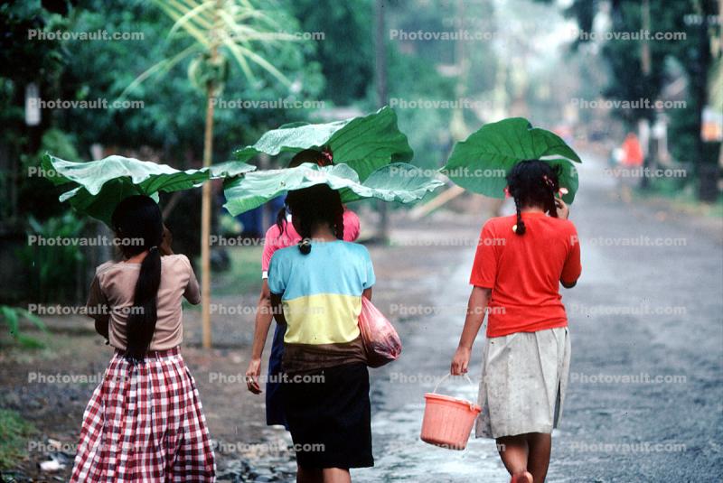 Leaf Umbrellas, Ubud, Bali