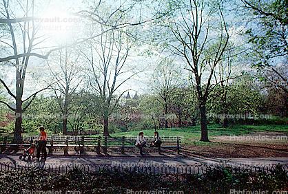 Park Bench, stroller, trees, springtime