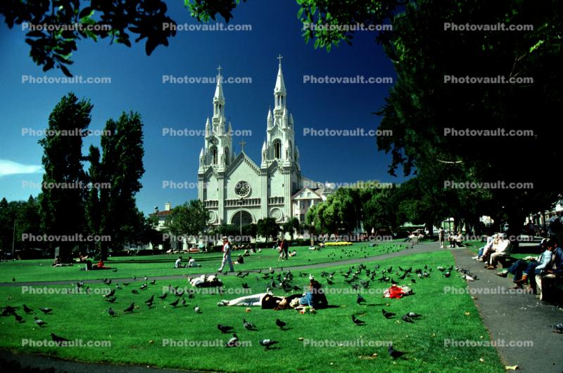 People, pigeons, church, Washington Square, North-Beach