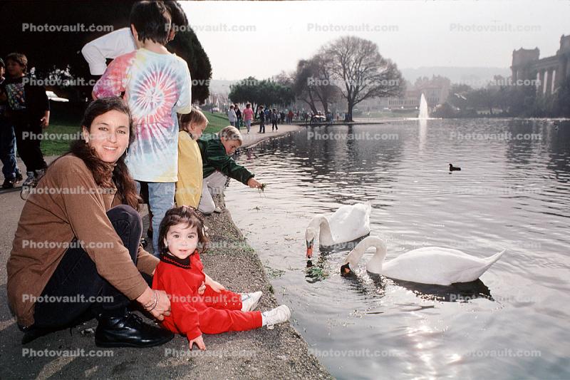 Smiling lady, Girl, Child, Toddler, pond, swan