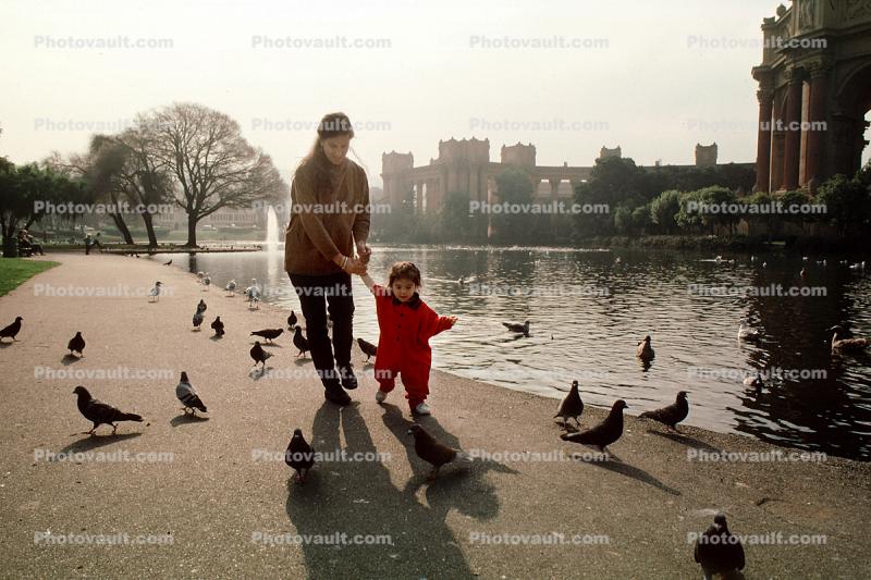 Pigeons, Pond, lake