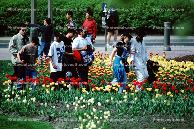 Students in the park, flowers, tulips