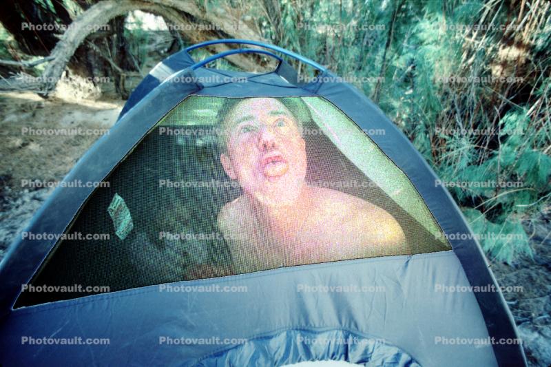 man, male, tent