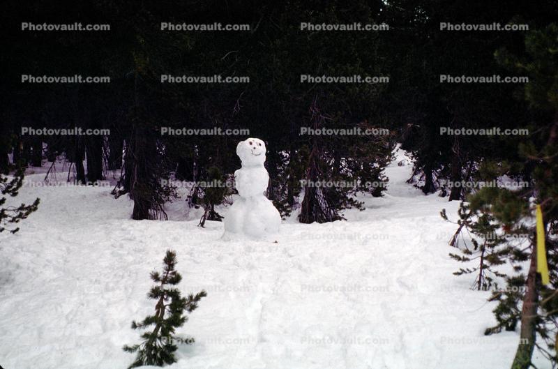 smiling snowman in the snowy forest
