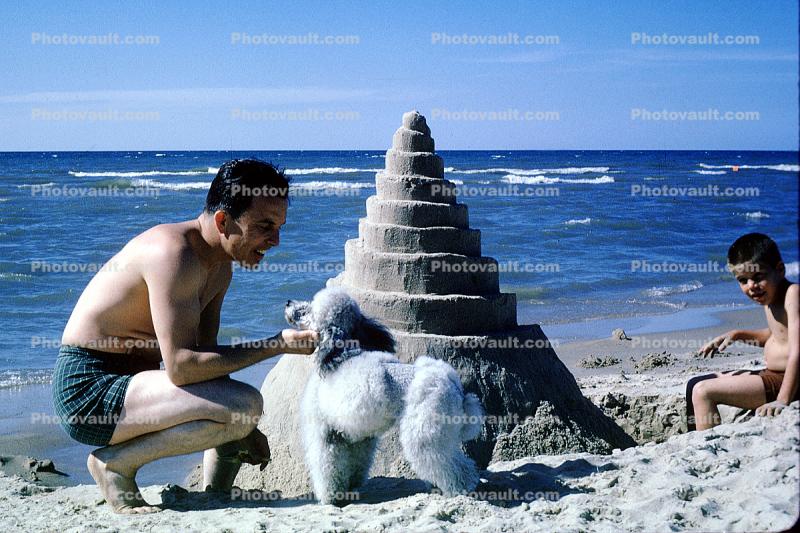 Beach, Father, Son, Cone, Spiral, Ocean, Water, Poodle, October 1965, 1960s