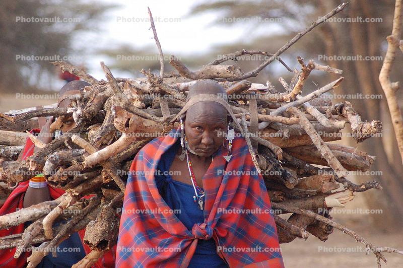 Woman, labor, Firewood, deforestation, desertification, Maasai village, Tanzania