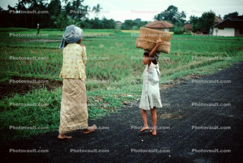 Girl, Woman, walking, baskets, rice fields, Ubud, Bali, Indonesia