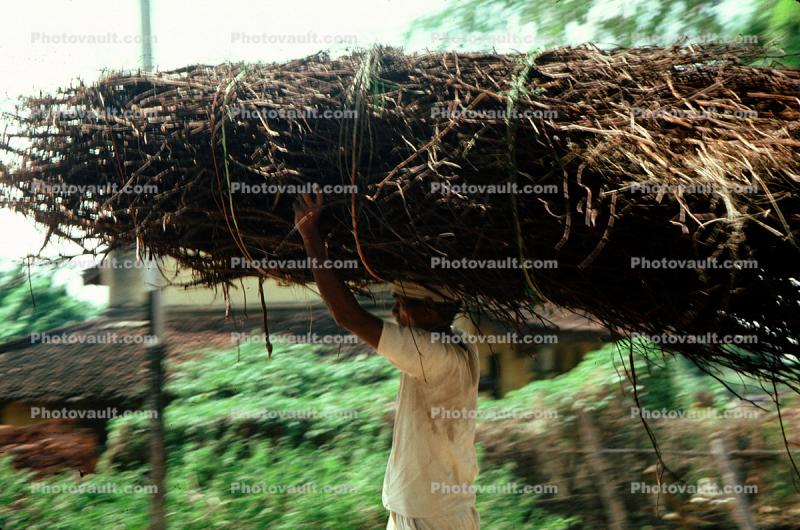 overload, Desertification, Man carrying twigs, firewood, deforestation, Sevegram23+