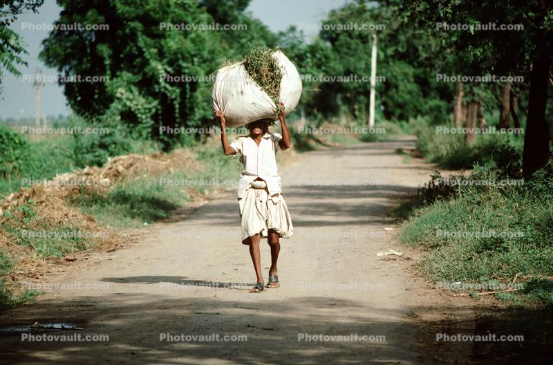 Man Walking Down a Dirt Road Carrying a Heavy Load, India
