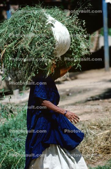 Woman Carrying a bushel, Boral Village, Gujarat