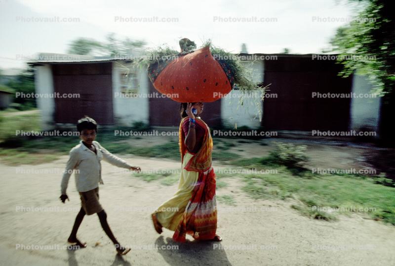 Woman Carries a huge Bushel of Plants on her head, Bayad Taluka, Gujarat