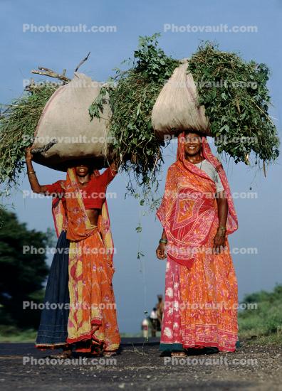 Woman Carrying a bushel of Plants