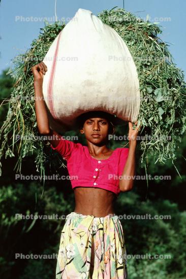 Girl Carrying a bushel