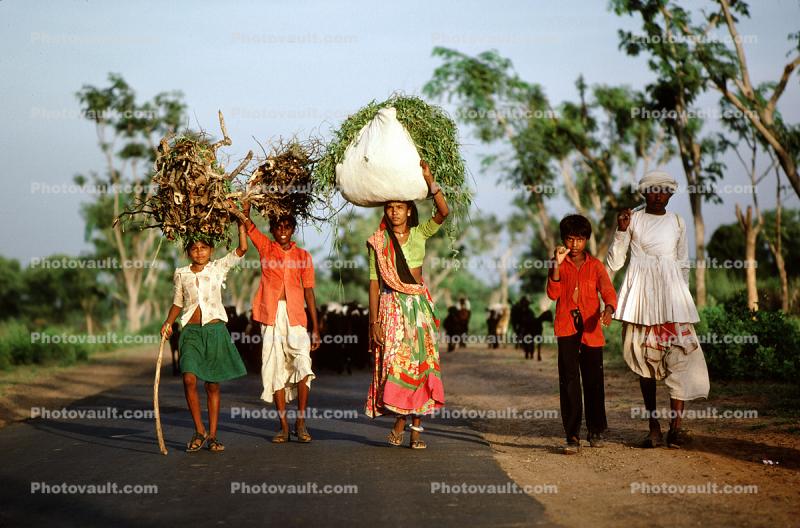 India, Child-Labor
