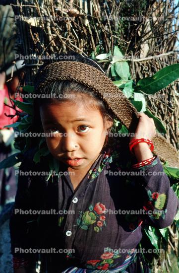 Girl Carrying Firewood, Desertification, wood bundle, twigs, Child-Labor