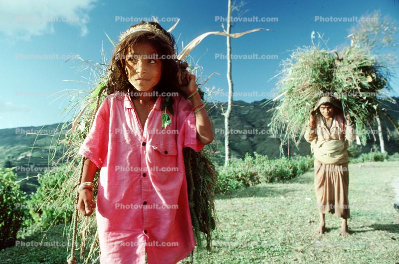 Girl carrying vegetation, woman, deforestation, desertification