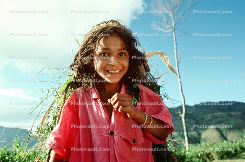 Girl carrying vegetation, deforestation, desertification