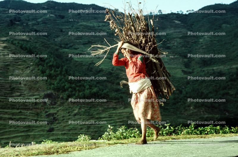 Woman carrying heavy load, barefoot, barefeet, deforestation, desertification