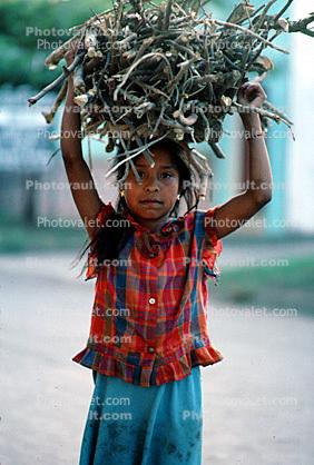 Girl Carrying Firewood, Desertification, wood bundle, Child-Labor, deforestation