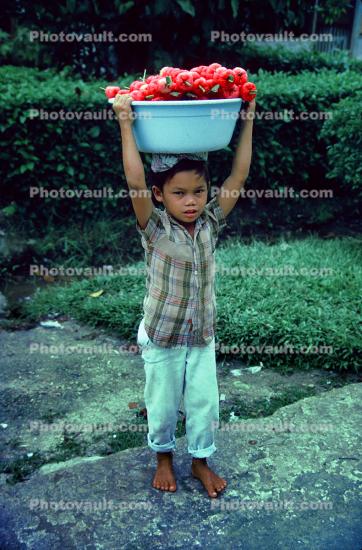 Boy, Child-Labor, vegetables, barefoot, barefeet, Siberut Island, Indonesia