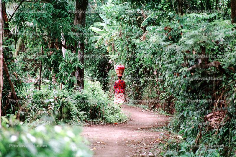Girl in the jungle, path, rainforest