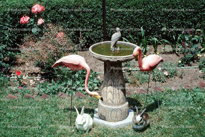 Backyard Birdbath, Rabbits, Flamingo, 1969, 1960s, Muncie Indiana