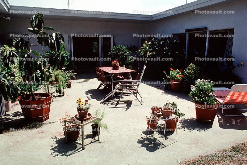 backyard, 1970s