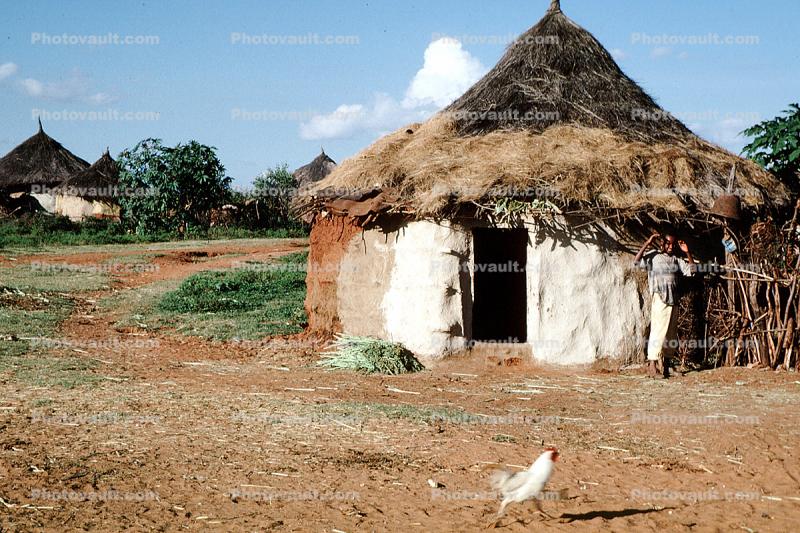 Thatched Roof House, Home, Grass Roofs, Building, roundhouse, Holy Caves, chicken, Sof Omar, Sod