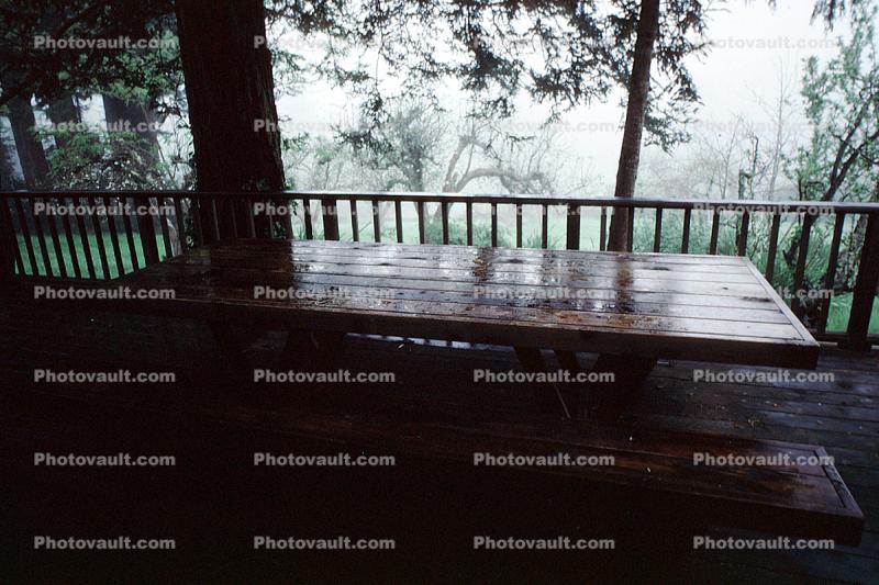Table, wet misty day, trees